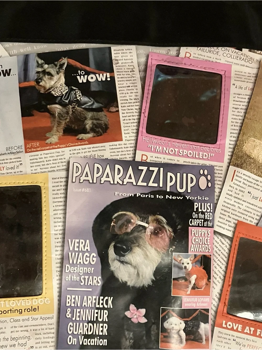 New Dog Paparazzi Style Tote with Personal Photo Spots For Your Dogs Pictures